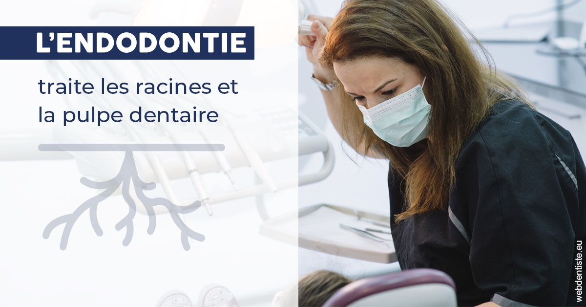 https://dr-gefflot-maxence.chirurgiens-dentistes.fr/L'endodontie 1