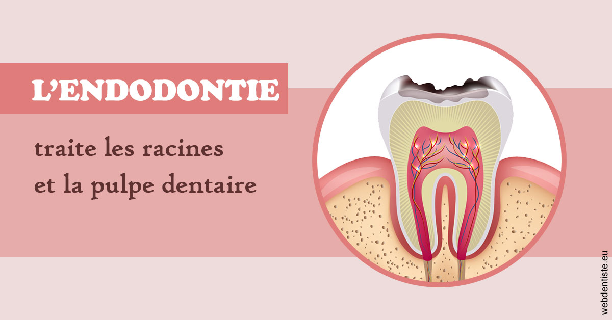 https://dr-gefflot-maxence.chirurgiens-dentistes.fr/L'endodontie 2