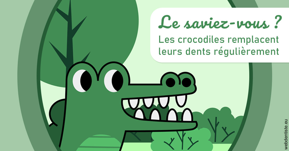 https://dr-gefflot-maxence.chirurgiens-dentistes.fr/Crocodiles 2